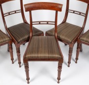 A set of five fine quality antique Australian cedar roll-over spade back Trafalgar chairs with cannon ball rail back, rare cross banded flame cedar front rails, finely turned front legs and rear sabre legs. Drop in cushion seats handsomely upholstered in - 2