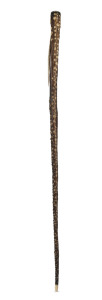 A rare antique stingray tail walking stick with silvered cap, whalebone ferrule and impressive original barb affixed, 19th century, 87cm long.