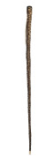 A rare antique stingray tail walking stick with silvered cap, whalebone ferrule and impressive original barb affixed, 19th century, ​​​​​​​87cm long.