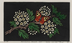 LESLIE VAN DER SLUYS (1939-2010), (sprig of flowering hawthorn, lino cut, inscribed in the lower margin "MacCallum Award 1985", signed lower right, 14 x 22cm, 30 x 40cm overall.