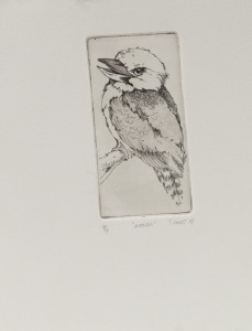 TRISH HART (b.1956), A group of limited edition etchings, circa 1980s, all titled and signed by the artist; includes "Kooka" 4/4, "2 Rockhoppers" 1/50, "Lucy" 1/50, and "Kangaroo Is." 1/50; (Total: 8).