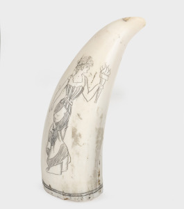 A scrimshaw whale's tooth with engraved portrait of LIBERTY, ​​​​​​​10.5cm high.