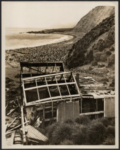 THE B.A.N.Z. ANTARCTIC EXPEDITION: Official original photograph by Captain Frank Hurley: Image B12 - Title: Ruin and Regeneration - Macquarie Island,