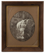 A pair of Tasmanian waterfall scene black and white albumen photographs, attractively framed with original labels affixed verso "Richardson's Art Gallery, 121 Liverpool Street, Hobart", early 20th century, 64 x 50cm each overall. - 3