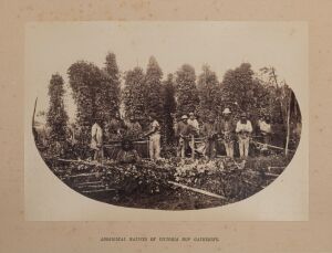 NICHOLAS JOHN CAIRE (1837-1918) "ANGLO AUSTRALASIAN PHOTO CO. VIEWS OF VICTORIA, CENTRAL SERIES", complete folio of sixty albumen paper prints affixed to individual printed and numbered cards with printed text verso, sheet size 14 x 19cm each approx. (60)