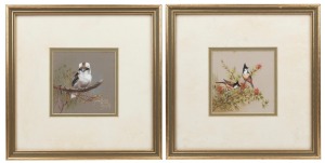 JOSEPHINE ANNE SMITH, I.) Cute Kookie at Mt. Colah, II.) Red-Whiskered Bul-Buls on the Honey-Flower Bush, watercolours, both signed "Josephine Anne Smith", titled verso and dated 1988, 10 x 10cm, 25 x 25cm each overall