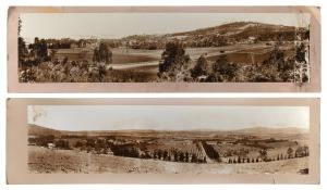 [TASMANIAN INTEREST] Two antique albumen black and white panoramic photographs, one depicting apple orchards and the other of a coastal stud farm with orchards, both mounted on card, ​​​​​​​sheet size 24 x 100cm each