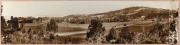 [TASMANIAN INTEREST] Two antique albumen black and white panoramic photographs, one depicting apple orchards and the other of a coastal stud farm with orchards, both mounted on card, ​​​​​​​sheet size 24 x 100cm each - 2
