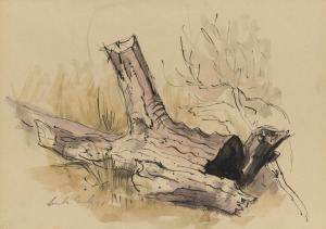 JACK CARRINGTON SMITH (1908-1972), Fallen Tree, watercolour, signed lower left and dated 1957, &nbsp;25 x 35cm, 49 x 59cm overall.