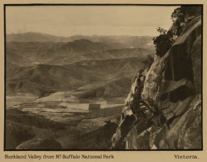 [VICTORIAN GOVERNMENT RAILWAYS] BUCKLAND VALLEY FROM MT. BUFFALO NATIONAL PARK, large format gelatin silver print photograph printed on thick card, ​​​​​​​26 x 36cm, 41 x 51cm overall