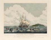 SOUTH SEA WHALE FISHERY, hand-coloured engraving attractively framed and mounted, ​​​​​​​72 x 84cm overall