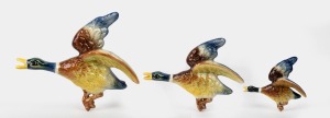 M.C.P. set of three wall mount flying ducks, circular factory mark to reverse, ​​​​​​​the largest 28cm long.