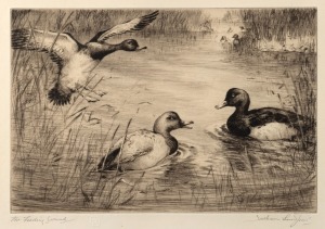 ARTIST UNKNOWN, The Feeding Ground, drypoint engraving, signed lower right (illegible), ​​​​​​​17 x 24cm, 52 x 41cm overall.