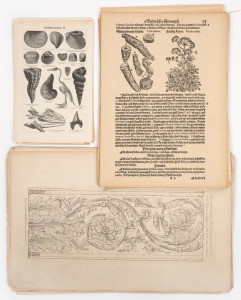 BOTANICALS & ARCHITECTURAL STUDIES: Diverse late 19th/early 20th century group comprising more than sixty reproduction botanical woodcuts (in Czech, German, or Latin), fifteen German steel engravings, and nineteen photolithographic facsimiles of 18th cent