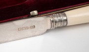 An antique English sterling silver cake knife with ivory handle, housed in original plush fitted box, by Atkin Bros. of Sheffield, circa 1902, ​​​​​​​24cm long. - 2