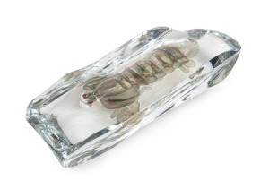 ALFREDO BARBINI (1912-2007) Crayfish in clear sommerso glass, for VETRERIA ALFREDO BARBINI, circa 1980, engraved "A. Barbini" and bearing original label "Barbini, Murano", 7cm high, 32cm long, 12cm deep.