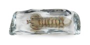 ALFREDO BARBINI (1912-2007) Crayfish in clear sommerso glass, for VETRERIA ALFREDO BARBINI, circa 1980, engraved "A. Barbini" and bearing original label "Barbini, Murano", 7cm high, 32cm long, 12cm deep. - 2
