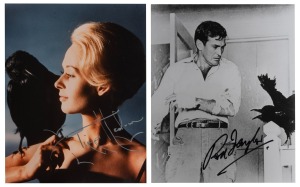 ALFRED HITCHCOCK - THE BIRDS: Two 24 x 20cm photographic prints, one signed by male lead Rod Taylor, the other by female lead Tippi Hendren.
