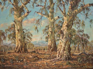 WILLIAM (BILL) AMBAGTSHEER (1944 - ), (red gums and cattle landscape), oil on canvas, signed lower left "Ambagtsheer", 82 x 110cm, 98 x 125cm overall.