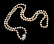 A fine quality cultured pearl necklace with 18ct white gold and diamond clasp, housed in a Hardy Brothers plush box, stamped "750", 75cm long - 2