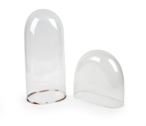 Two antique French glass domes, 20th century, 46cm high and 27cm high.
