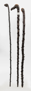 Three Irish black thorn walking sticks including an example with silver collar (Dublin, 1907) with engraved ownership details, ​​​​​​​the largest 92cm long.