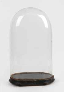 An antique French tall oval glass dome on (ill-fitting) ebonized timber base, 19th century, 53cm high overall, the dome internal measurements 49.5cm high, 30.5cm wide, 18cm deep.