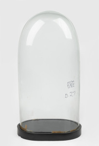 An antique French glass dome on later ebonized timber base, 19th century, 54cm high overall, the dome internal measurements 50cm high, 26cm wide, 16.5cm deep.
