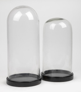 Two vintage cylindrical glass domes on ebonized bases, 20th century, 42cm and 36cm high overall.