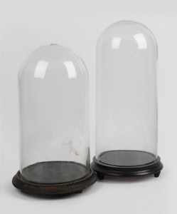 Two vintage cylindrical glass domes on ebonized bases, 20th century, 45cm and 40cm high overall.