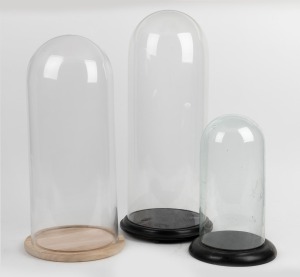 Three assorted cylindrical glass domes on timber bases (two ebonized), 20th century, the largest 60cm high.