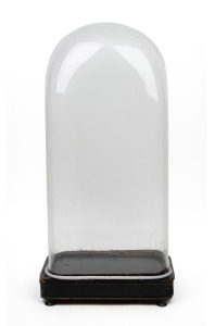 An antique French rectangular glass dome on an associated but period ebonized plinth base (later rope edition), 19th century, 64cm high overall, the dome internal measurements 55cm high, 27cm wide, 18cm deep.