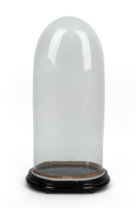A tall antique French glass dome on ebonized timber base, 19th century, 60cm high overall, internal measurements of dome 54cm high, 24cm wide, 17.5cm deep.