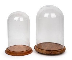 Two vintage glass domes on polished timber bases, 20th century, 41cm and 35cm high.