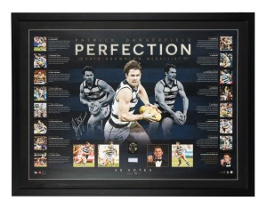PATRICK DANGERFIELD PERFECTION 2016 BROWNLOW MEDALLIST: Signed poster, limited edition 73/135, attractively framed and glazed, together with a replica Brownlow Medal, and accompanied by a CoA; 78 x 103cm overall.