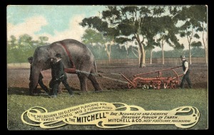 POSTCARDS: AGRICULTURE: A real photo postcard depicting an elephant ploughing with "The Mitchell" No.14, 2 Furrow Plough, from Mitchell & Co., West Footscray, Melbourne; issued by F.W. Niven & Co., fine Unused, circa 1910.