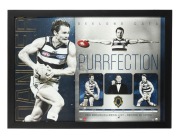GEELONG: A collection of ten attractively framed and glazed displays, featuring Gary Ablett Sr. and Jr., Jimmy Bartell, Paul Chapman, Joel Selwood, Patrick Dangerfield, and others; the largest 58.5 x 109.5cm overall. (10 items) - 3