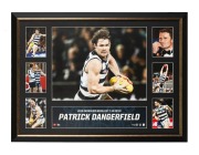 GEELONG: A collection of ten attractively framed and glazed displays, featuring Gary Ablett Sr. and Jr., Jimmy Bartell, Paul Chapman, Joel Selwood, Patrick Dangerfield, and others; the largest 58.5 x 109.5cm overall. (10 items) - 5