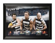 GEELONG: A collection of ten attractively framed and glazed displays, featuring Gary Ablett Sr. and Jr., Jimmy Bartell, Paul Chapman, Joel Selwood, Patrick Dangerfield, and others; the largest 58.5 x 109.5cm overall. (10 items) - 6