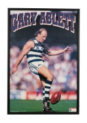 GEELONG: A collection of ten attractively framed and glazed displays, featuring Gary Ablett Sr. and Jr., Jimmy Bartell, Paul Chapman, Joel Selwood, Patrick Dangerfield, and others; the largest 58.5 x 109.5cm overall. (10 items) - 7