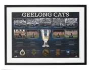 GEELONG: A collection of ten attractively framed and glazed displays, featuring Gary Ablett Sr. and Jr., Jimmy Bartell, Paul Chapman, Joel Selwood, Patrick Dangerfield, and others; the largest 58.5 x 109.5cm overall. (10 items) - 9