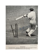 BRADMAN OUT FIRST BALL when he dragged a bumper from BOWES down to his leg stump during the Second Test of the Bodyline Series (Adelaide, December 1932); a fine pen signature of Bradman on a magazine picture depicting him and his shattered wicket.