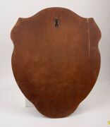 SWANS BEST & FAIREST AWARD: Original ornate wooden shield with metal plaque and annual additions, inscribed "South Melbourne Football Club - Perpetual Trophy - Best And Fairest Award - Donated By Yellow Cabs Of Australia", engraved Russell Cook 1972, Pete - 9