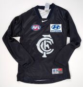 CARLTON SIGNED ITEMS: Group comprising Carlton jumper signed by both Sergio and Stephen Silvagni, Carlton cap signed by Stephen Silvagni, seven 2000s signed Carlton trading cards (mostly Select), plus Brisbane Bears polo signed by Robert Walls. (10 items) - 2