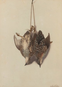 NEVILLE CAYLEY (1886-1950), (hanging game birds), watercolour, signed lower right "Neville W. Cayley", 41 x 30cm, 56 x 44cm overall.
