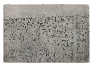 FRED WILLIAMS (1927-1982), Lysterfield landscape, etching, 28/30, signed lower right "Fred Williams", titled verso, ​​​​​​​30 x 40cm, 66 x 65cm overall.