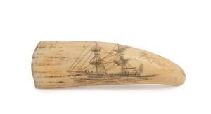 A scrimshaw whale's tooth with ship portrait and mermaid decoration on reverse, 13.5cm long.