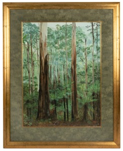 ARTIST UNKNOWN, (rainforest scene), watercolour, signed lower right (illegible), 75 x 56cm, 106 x 85cm overall.