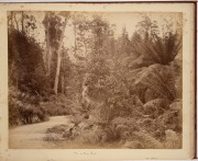 PHOTOGRAPHS OF TASMANIA by J.W. BEATTIE housed in an attractive album with gilt title to the cover, containing 23 albumen prints affixed to pages with hand-written notations and printed captions, images mainly 21 x 26.5 cm. - 4