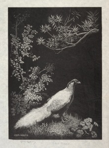 LIONEL LINDSAY (1874-1961), Sliver Pheasant, woodcut, signed in the lower margin "Lionel Lindsay", sheet size 26.5 x 20cm overall.